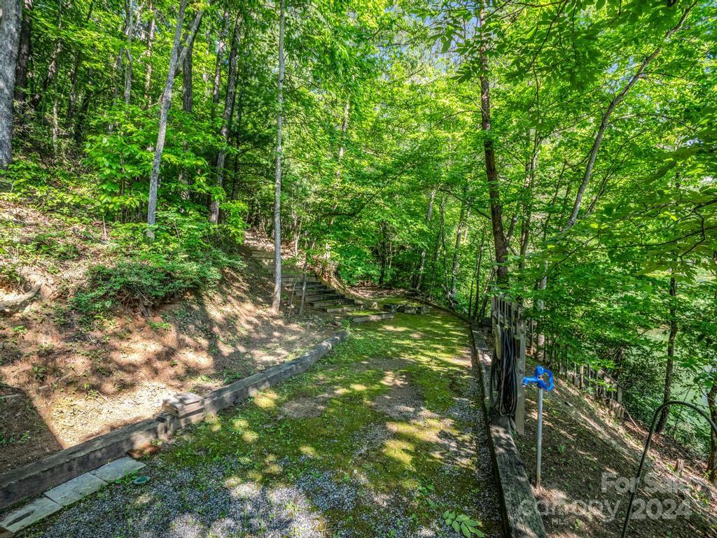 1065 South Cove Road Mill Spring, NC 28756 - Photo 39 of 48 a view of a forest with a tree