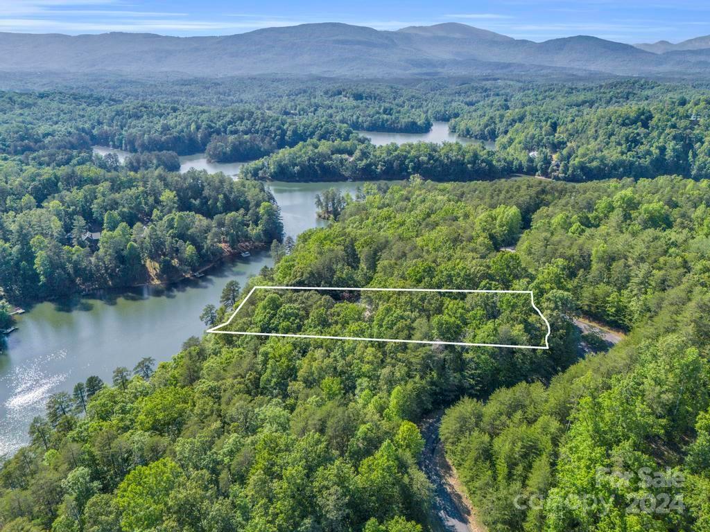 1065 South Cove Road Mill Spring, NC 28756 - Photo 42 of 48 an aerial view of a house with a garden and lake view