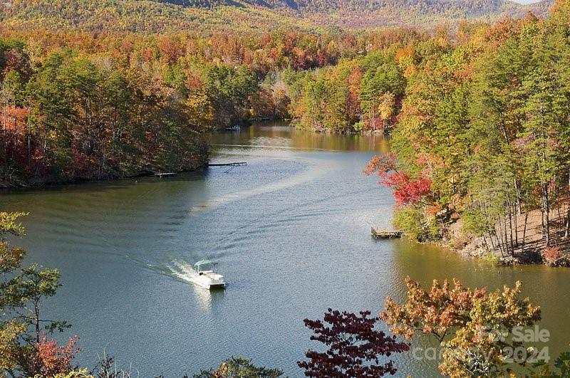 1065 South Cove Road Mill Spring, NC 28756 - Photo 48 of 48 a view of a lake with a mountain view