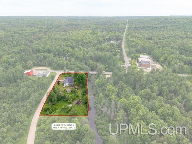 N8766 Peter White Road Deerton, MI 49822 - Photo 43 of 56