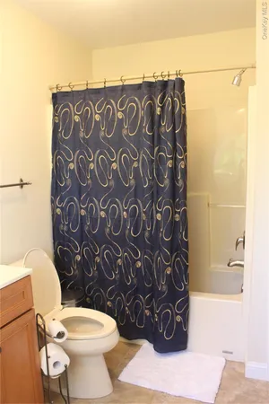 a bathroom with a toilet and a shower curtain
