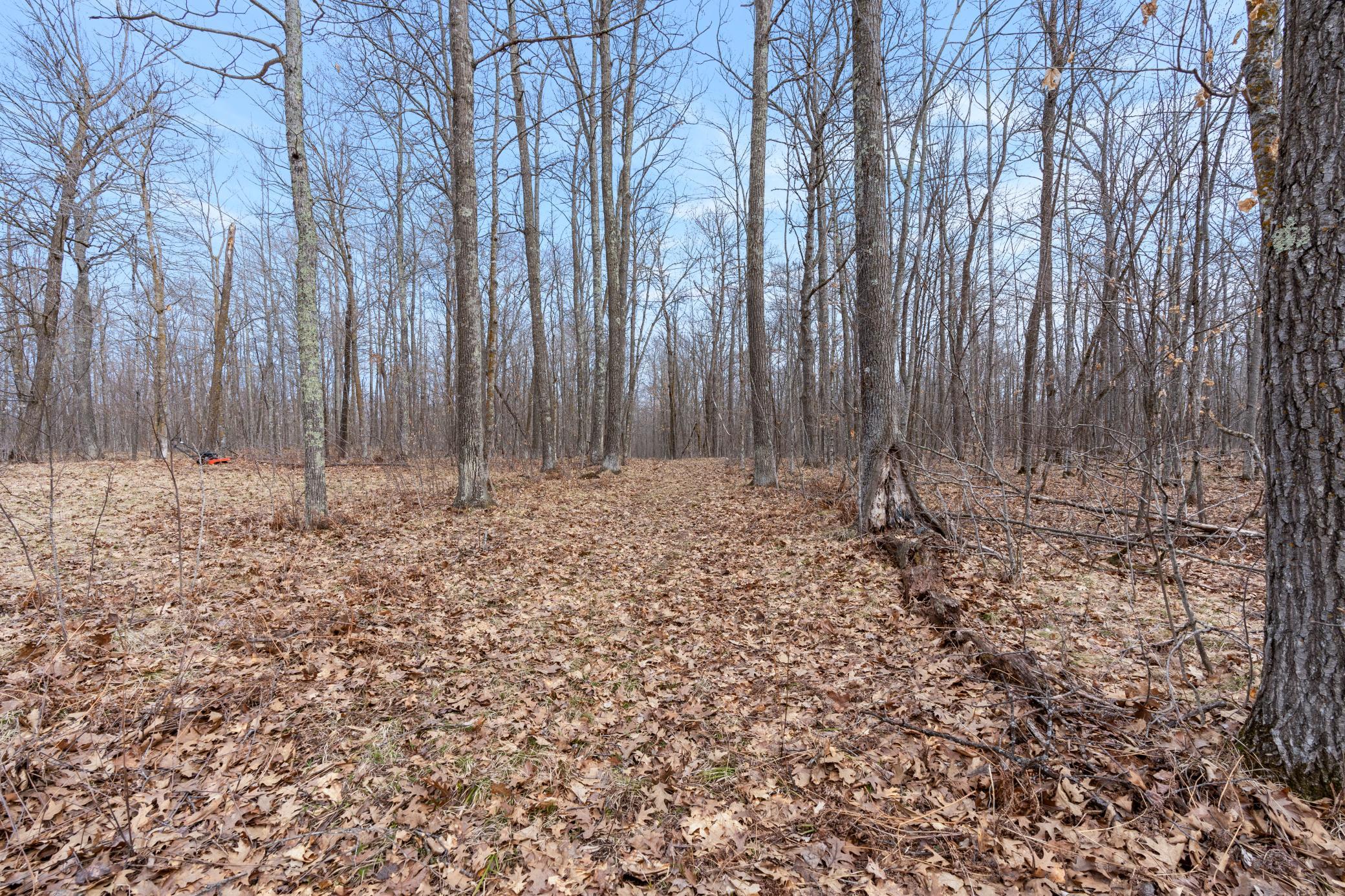 Xxx Ivory Street Isle, MN 56342 - Photo 25 of 58