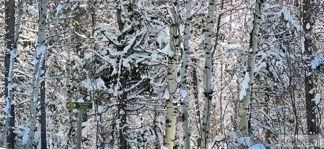 $295,000 | 4376 Granite Ridge, Ashton, ID 83420