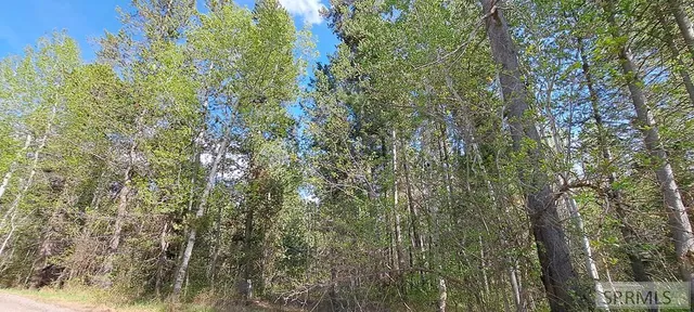 $295,000 | 4376 Granite Ridge, Ashton, ID 83420