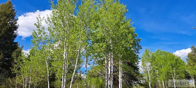 $295,000 | 4376 Granite Ridge, Ashton, ID 83420