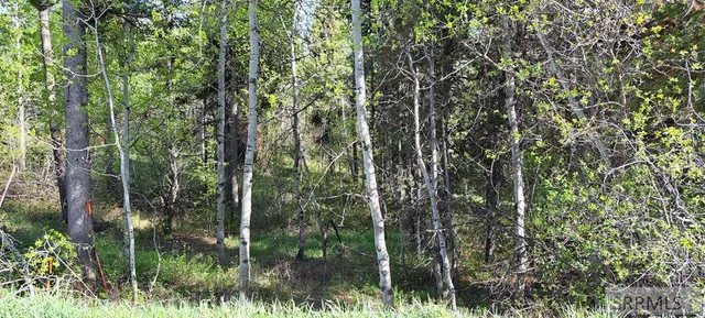 $295,000 | 4376 Granite Ridge, Ashton, ID 83420