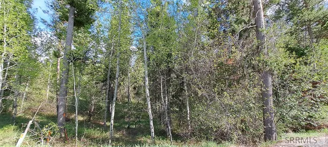 $295,000 | 4376 Granite Ridge, Ashton, ID 83420