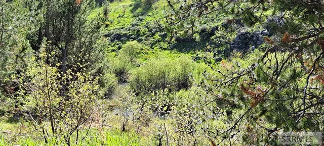 $295,000 | 4376 Granite Ridge, Ashton, ID 83420