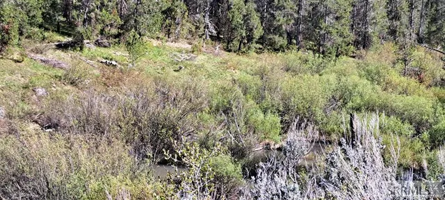 $295,000 | 4376 Granite Ridge, Ashton, ID 83420