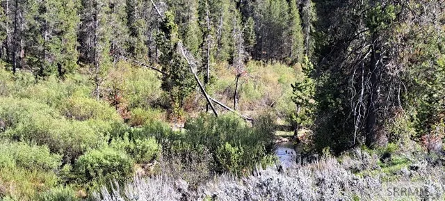 $295,000 | 4376 Granite Ridge, Ashton, ID 83420