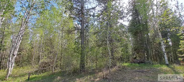 $295,000 | 4376 Granite Ridge, Ashton, ID 83420