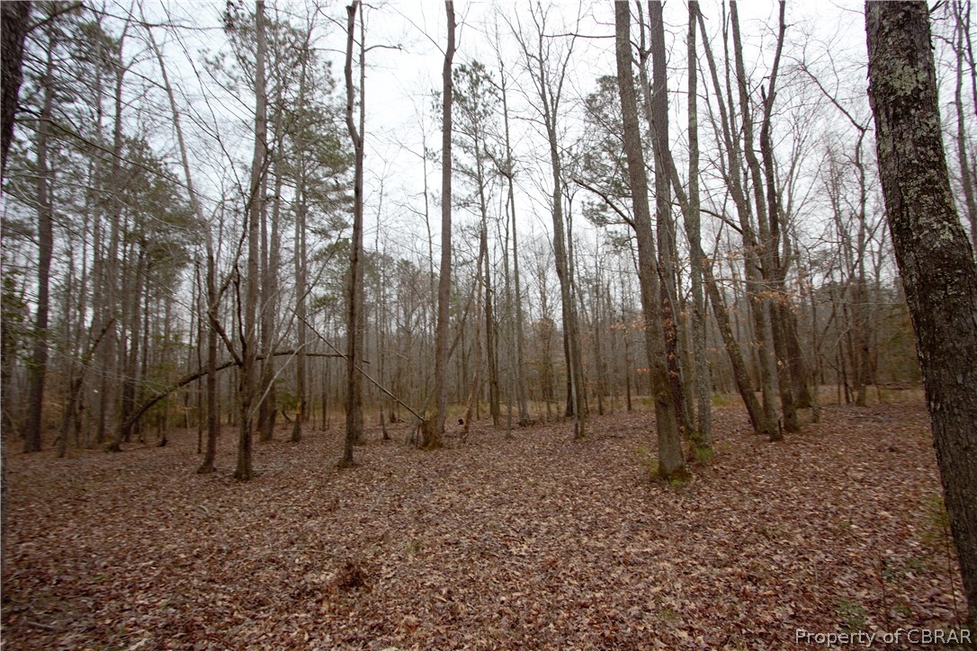 0 Plantation Road Gloucester, VA 23061 - Photo 3 of 5 Gallery Image 3