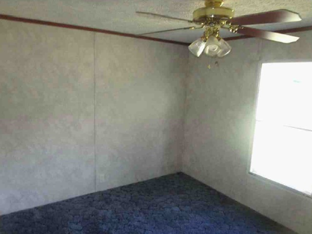 Plush blue carpeting underfoot pairs with a classic wood-trimmed ceiling line and natural window light.