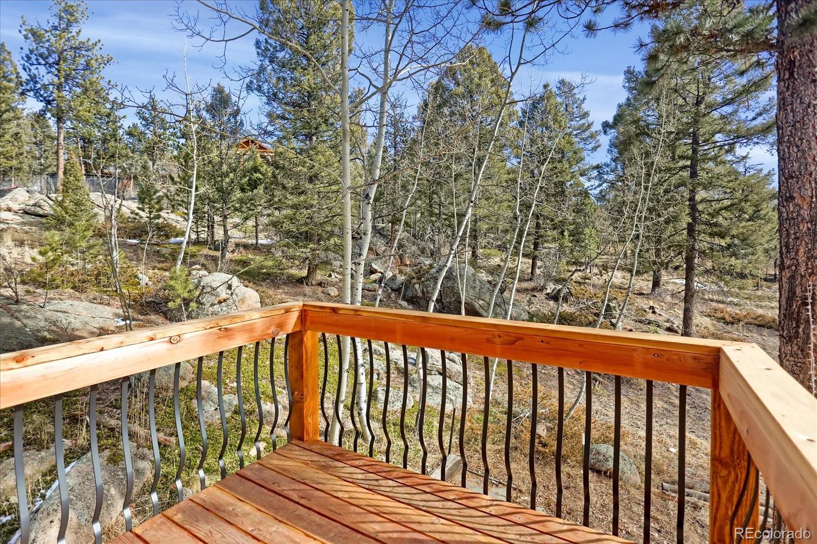 12345 Bear Haven Road Conifer, CO 80433 - Photo 25 of 46
