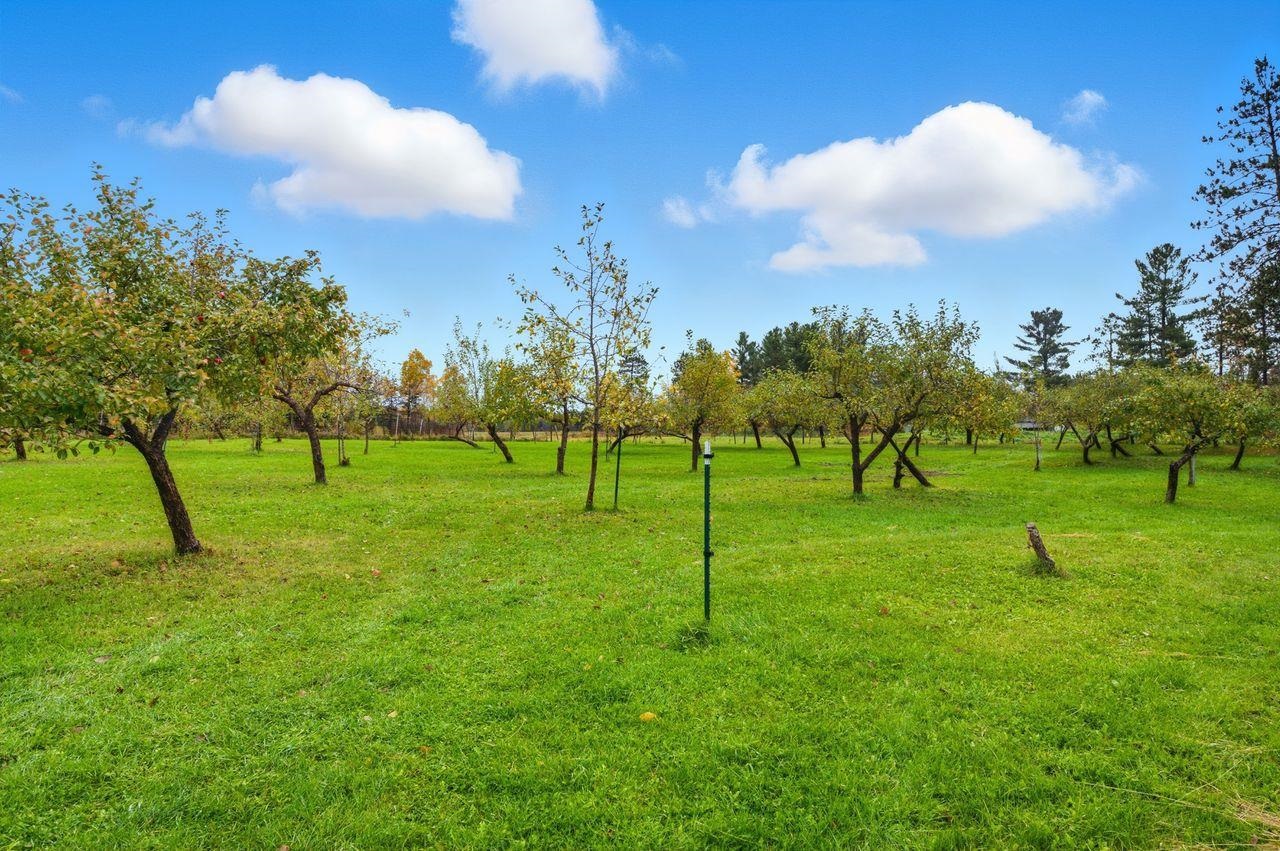 64903 Charles Johnson Road Ashland, WI 54806 - Photo 39 of 52 View of home's community with a lawn