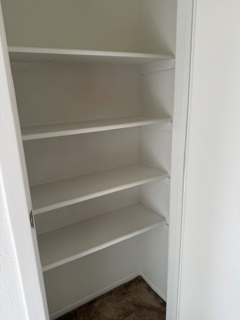 3200 South Gessner Road, Unit 344 Houston, TX 77063 - Photo 26 of 28 Storage closet upstairs