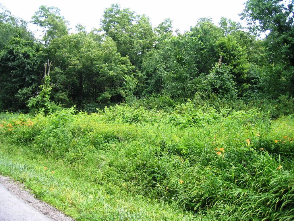 12644 Pleasant Valley Road Northeast Utica, OH 43080 - Photo 7 of 10