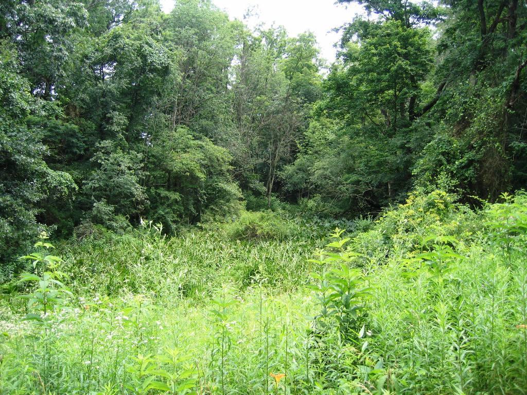 12644 Pleasant Valley Road Northeast Utica, OH 43080 - Photo 8 of 10