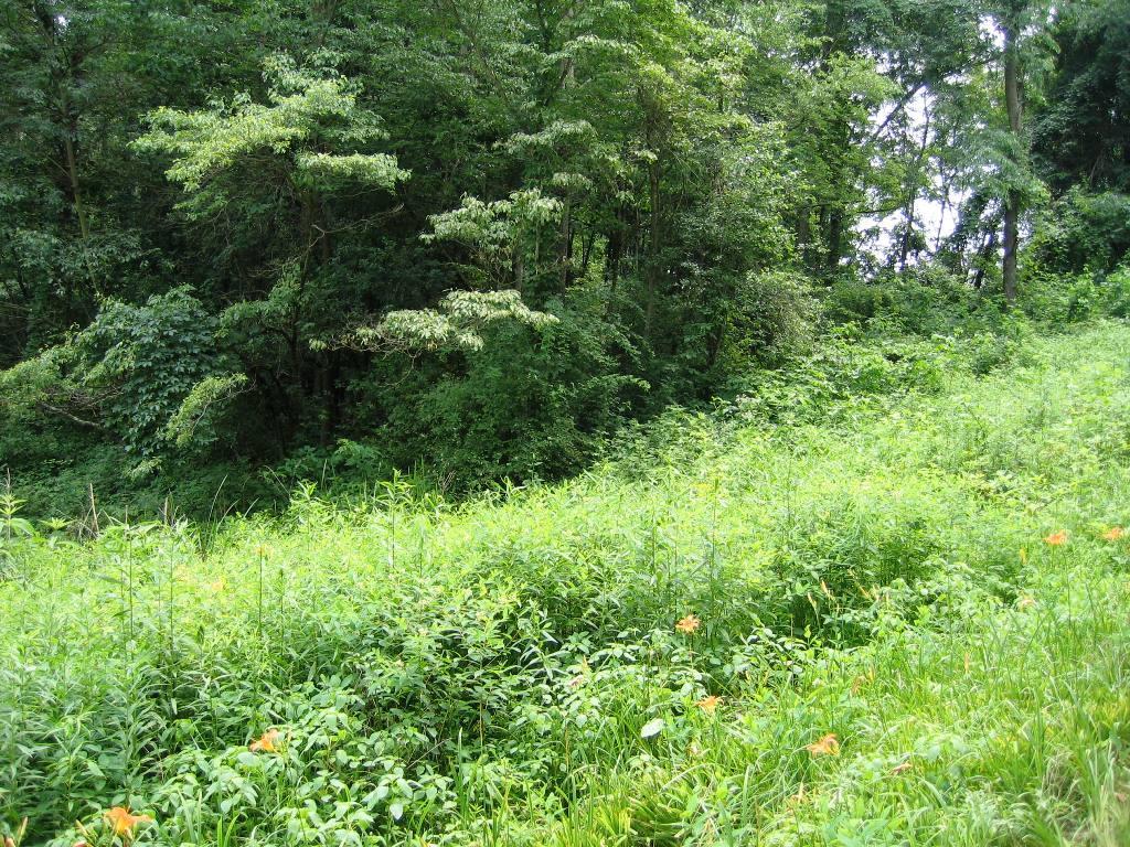 12644 Pleasant Valley Road Northeast Utica, OH 43080 - Photo 9 of 10