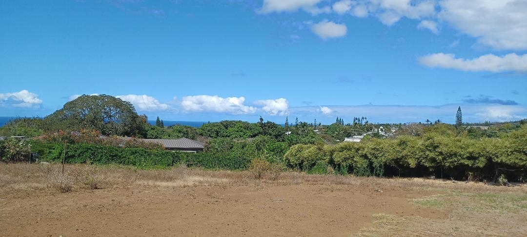 2676 Kalanikahua Road Haiku, HI 96708 - Photo 4 of 18 a view of a garden
