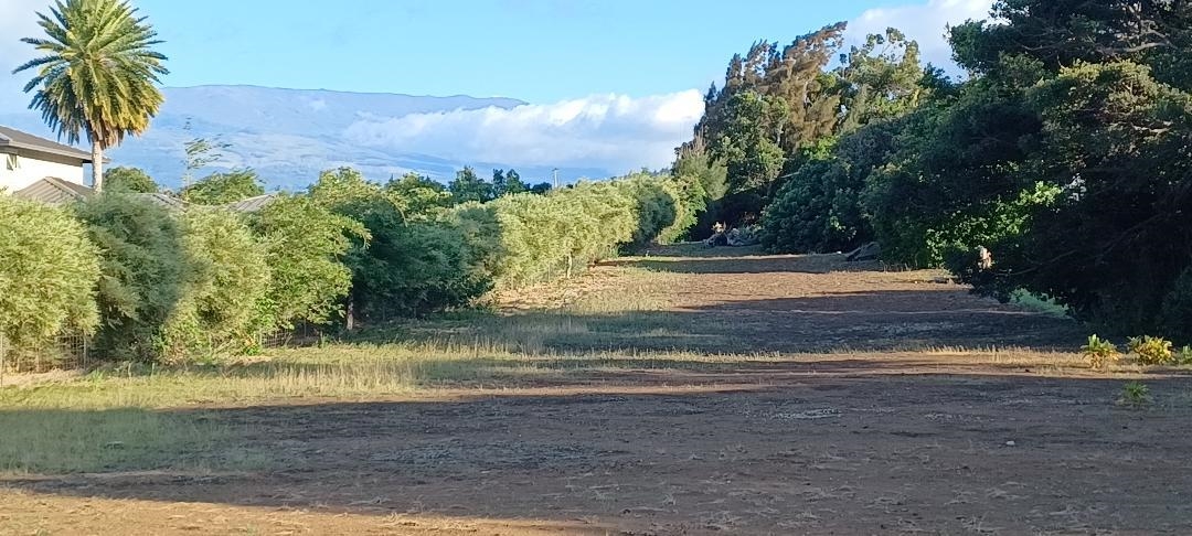 2676 Kalanikahua Road Haiku, HI 96708 - Photo 6 of 18 a view of a yard