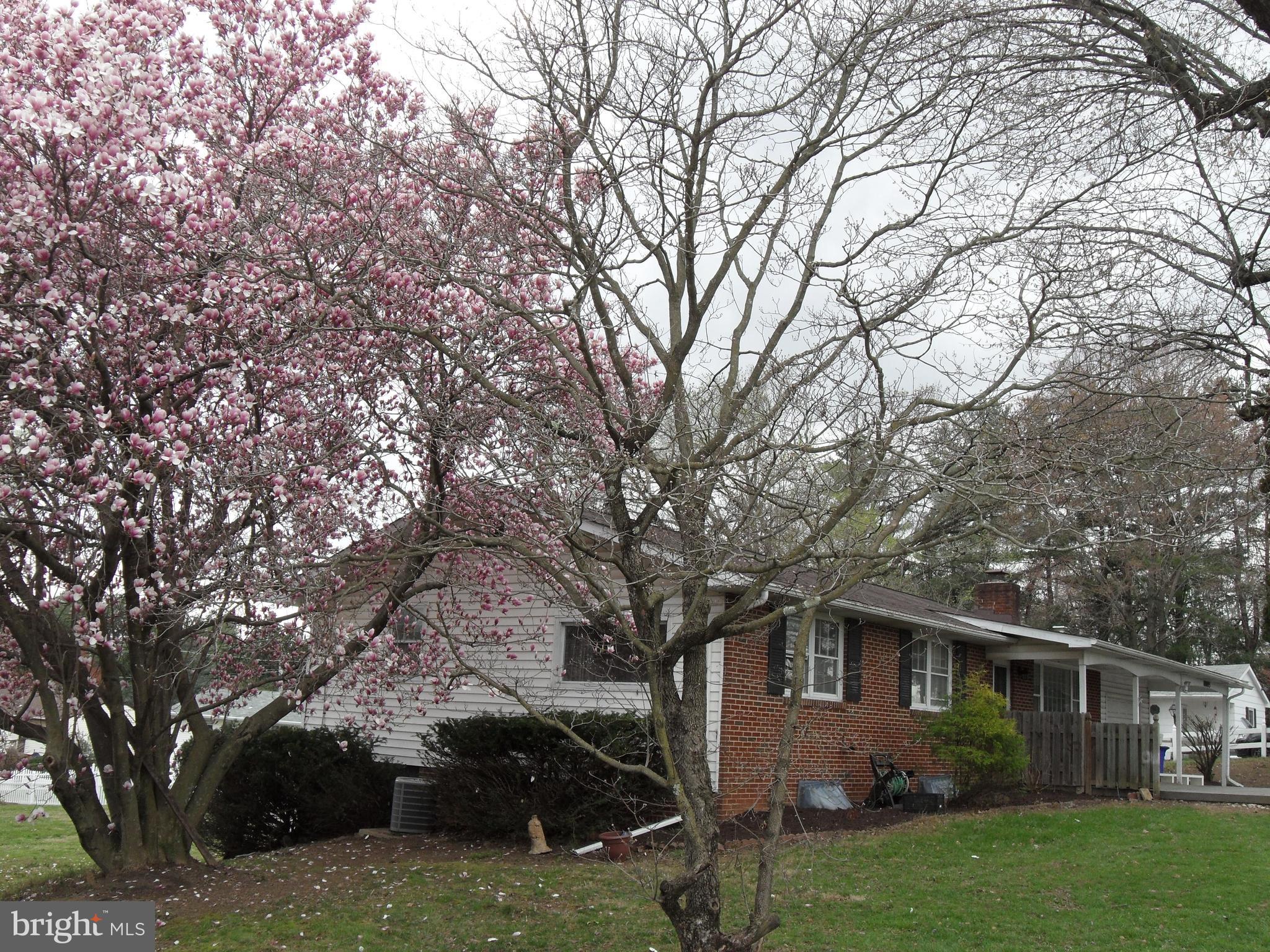 10005 Frederick Road Ellicott City, MD 21042 - Photo 2 of 46 Gallery Image 2