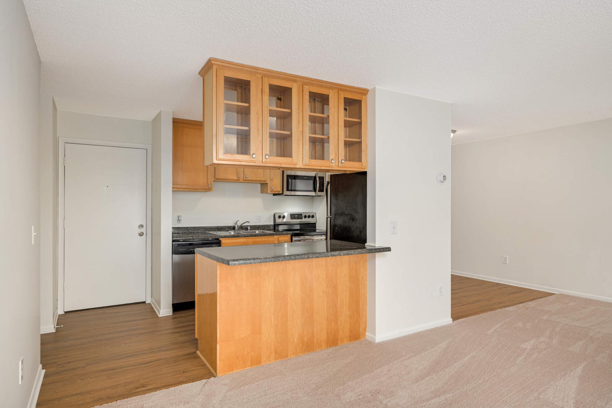 4110 Rahn Road, Unit 312 Eagan, MN 55122 - Photo 4 of 21