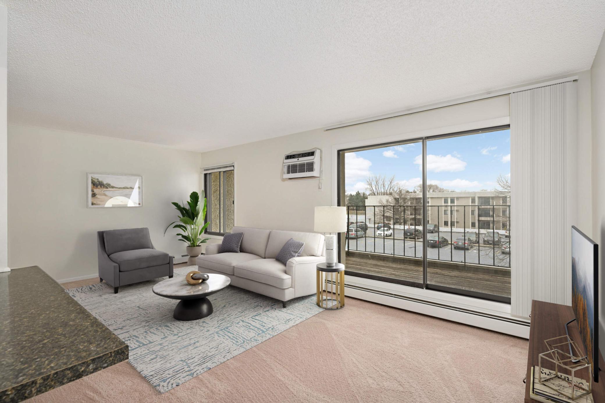 4110 Rahn Road, Unit 312 Eagan, MN 55122 - Photo 5 of 21