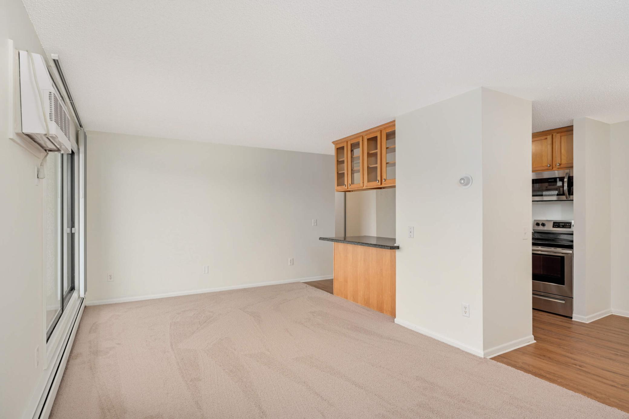 4110 Rahn Road, Unit 312 Eagan, MN 55122 - Photo 8 of 21