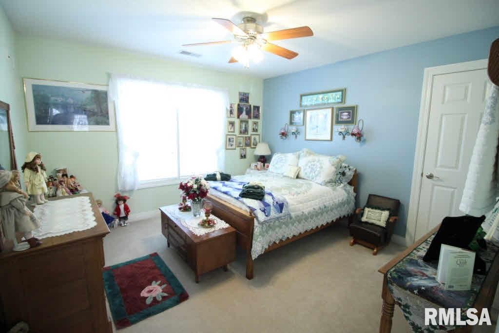 1700 Timber Ridge Drive Port Byron, IL 61275 - Photo 18 of 24 Gallery Image 18