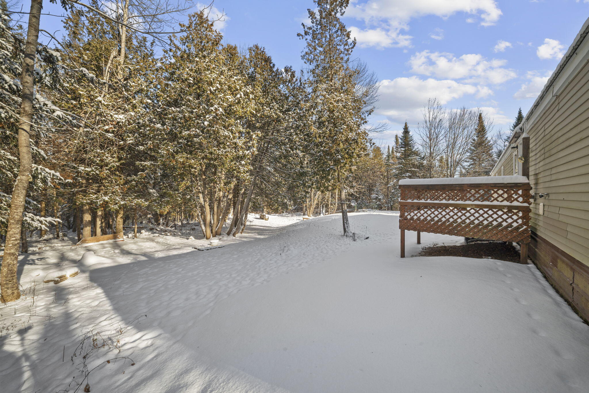 267 East Newport Road Stetson, ME 04488 - Photo 3 of 27 Back yard