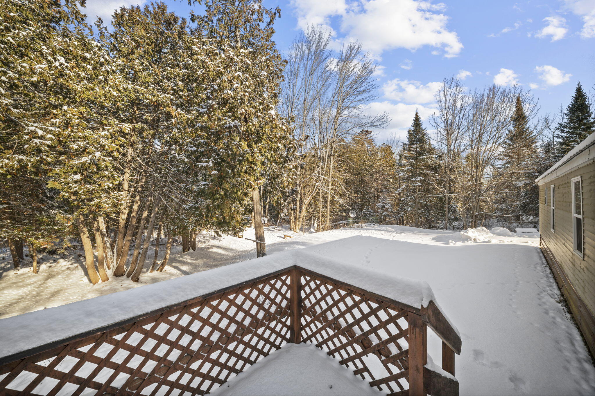 267 East Newport Road Stetson, ME 04488 - Photo 9 of 27 Back yard