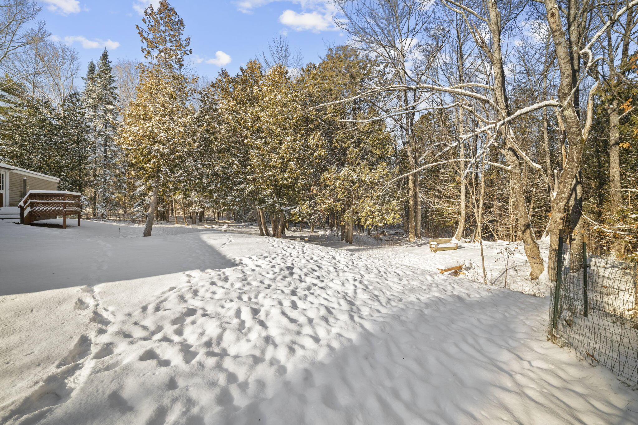 267 East Newport Road Stetson, ME 04488 - Photo 10 of 27 Back yard