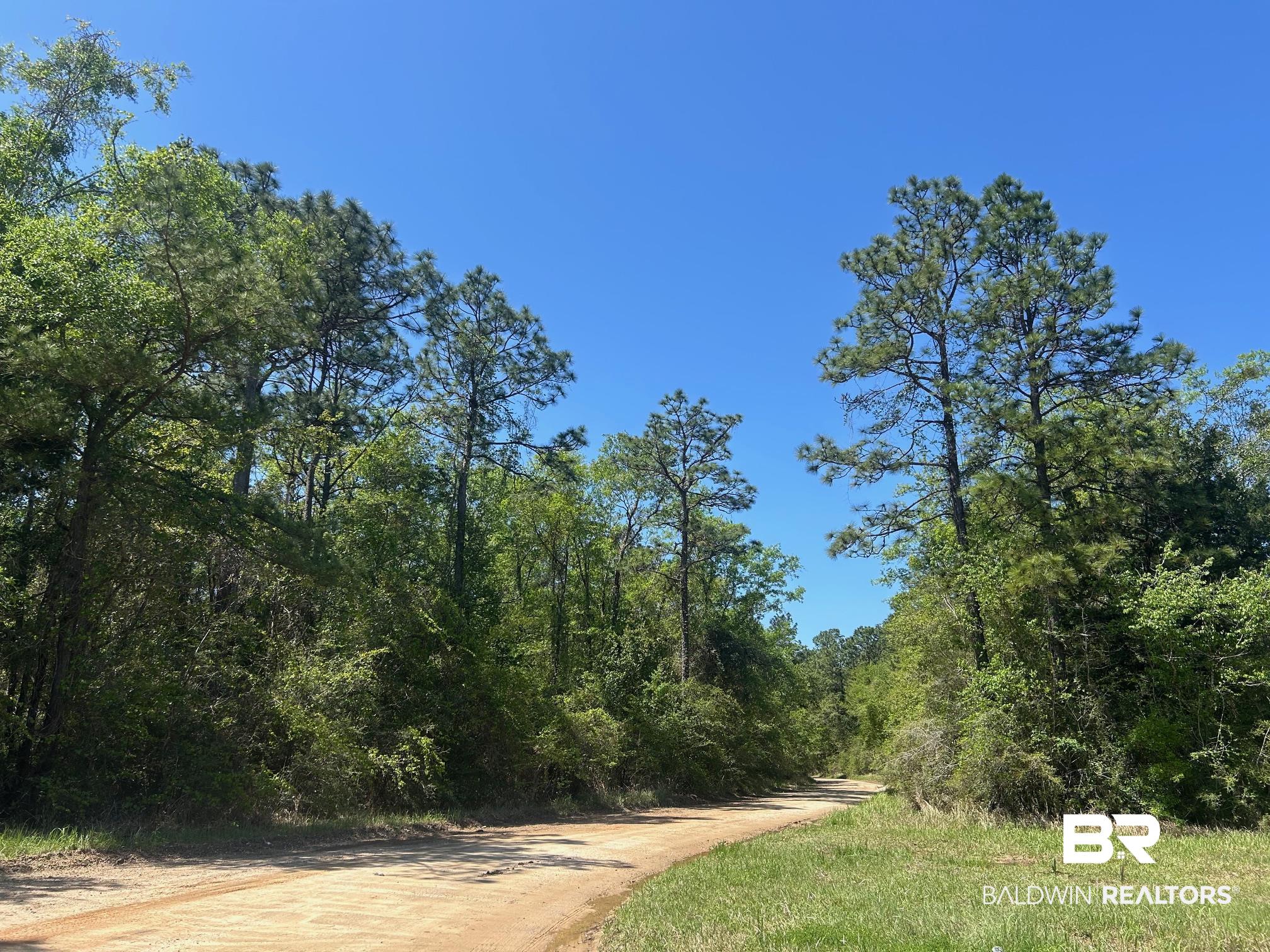 0 I-65 Service Road Creola, AL 36525 - Photo 7 of 20 View of road featuring a wooded view