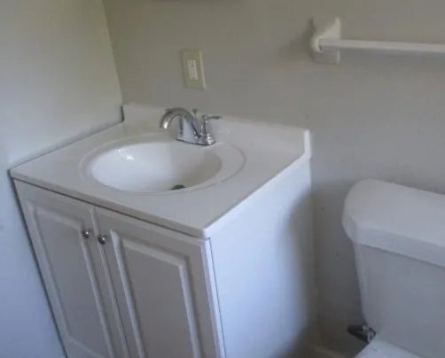 a bathroom with a sink toilet and vanity