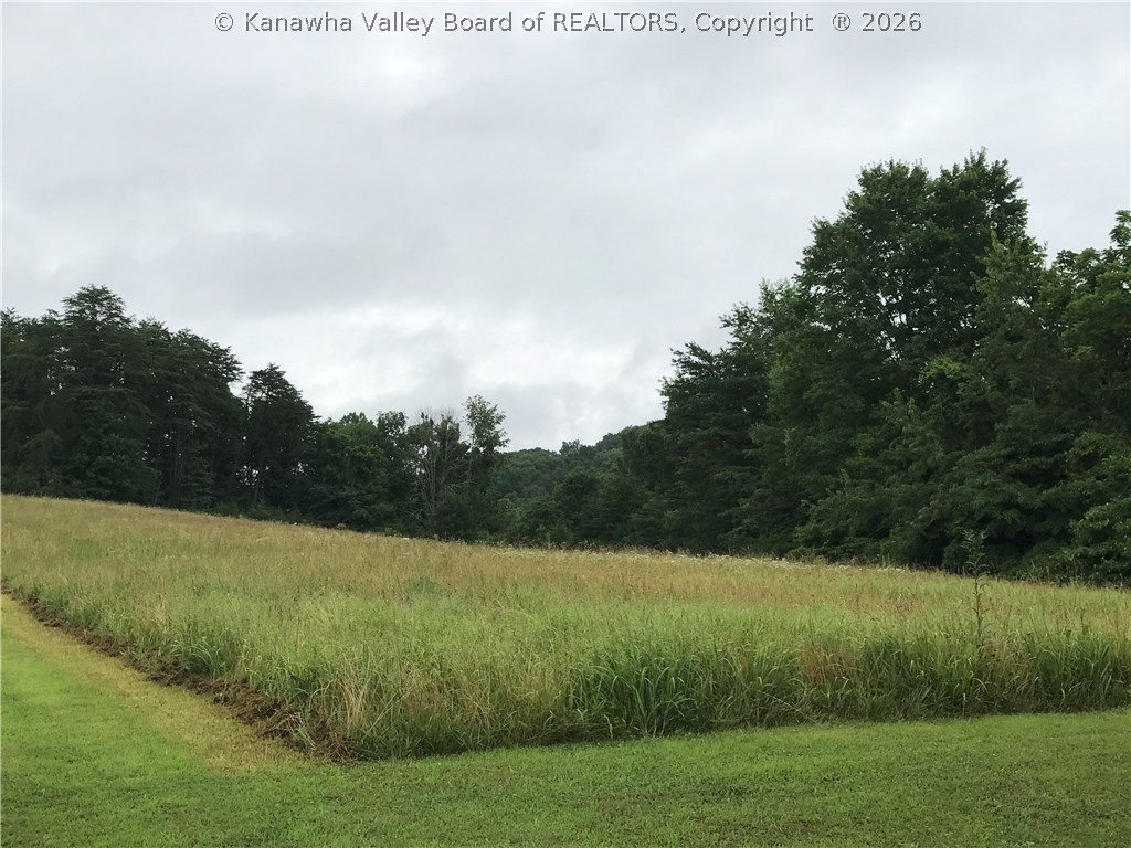 572 Watts Chapel Road Kenna, WV 25248 - Photo 3 of 20 Gallery Image 3