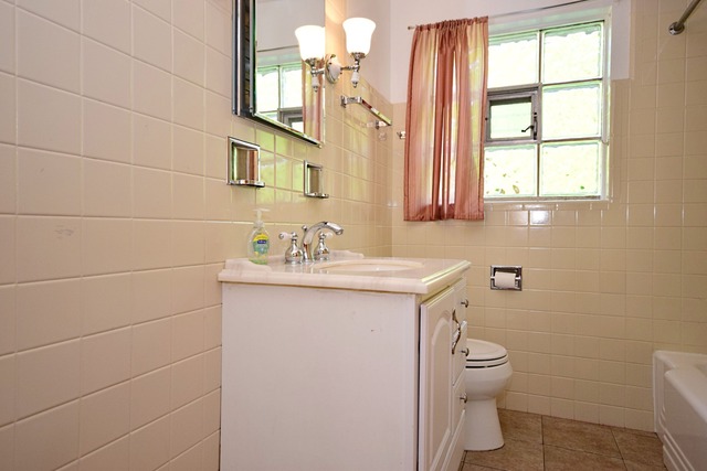 439 Shenstone Road Riverside, IL 60546 - Photo 14 of 25 a bathroom with a toilet sink and mirror