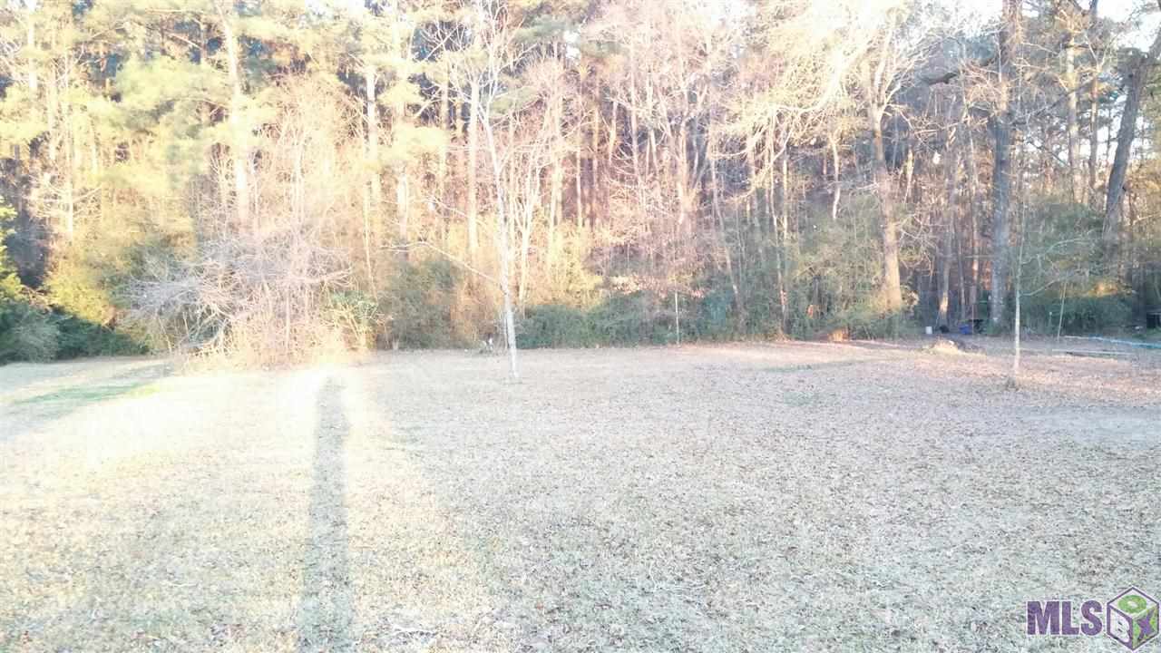 33560 Walker Road North Walker, LA 70785 - Photo 2 of 13 Gallery Image 2