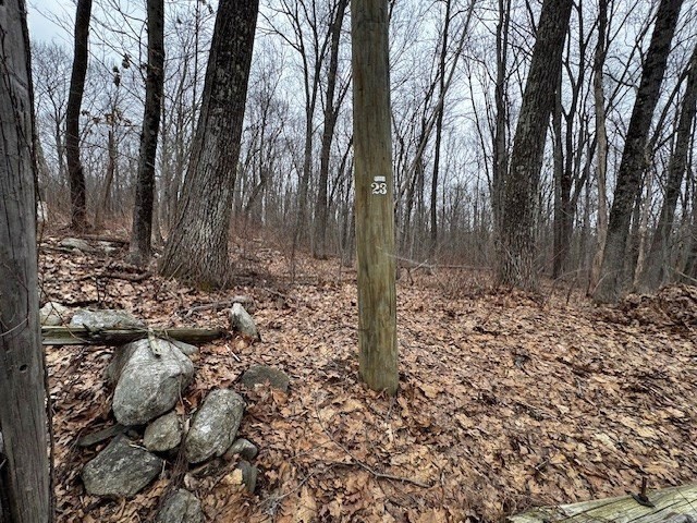 Lot 8 Gould Road Charlton, MA 01507 - Photo 3 of 4