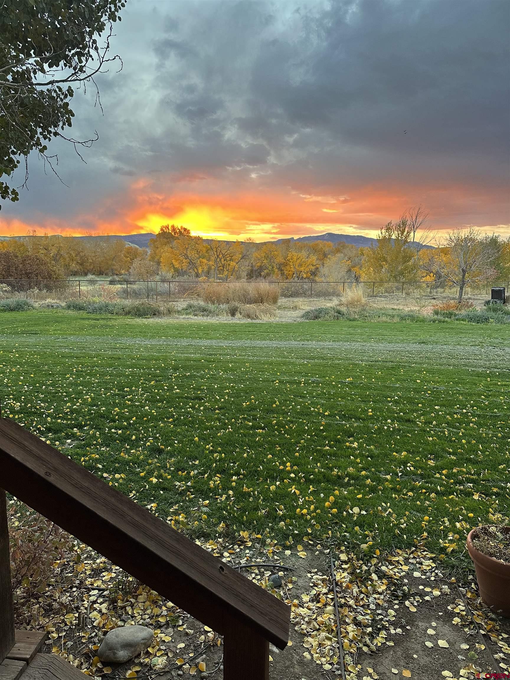 66961 Solar Road Montrose, CO 81403 - Photo 23 of 44 a view of a yard with an outdoor seating
