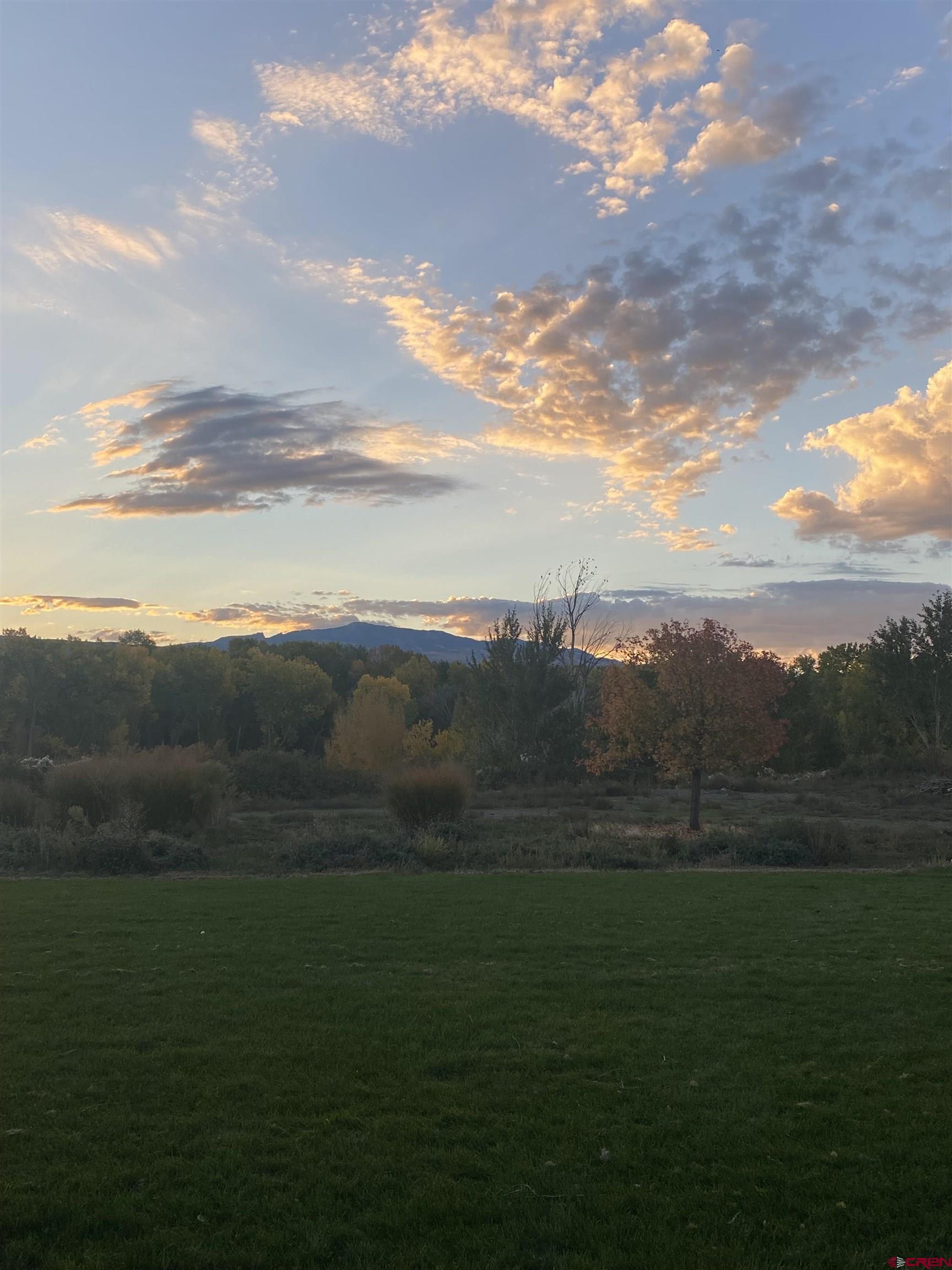 66961 Solar Road Montrose, CO 81403 - Photo 32 of 44 a view of an outdoor space and a yard