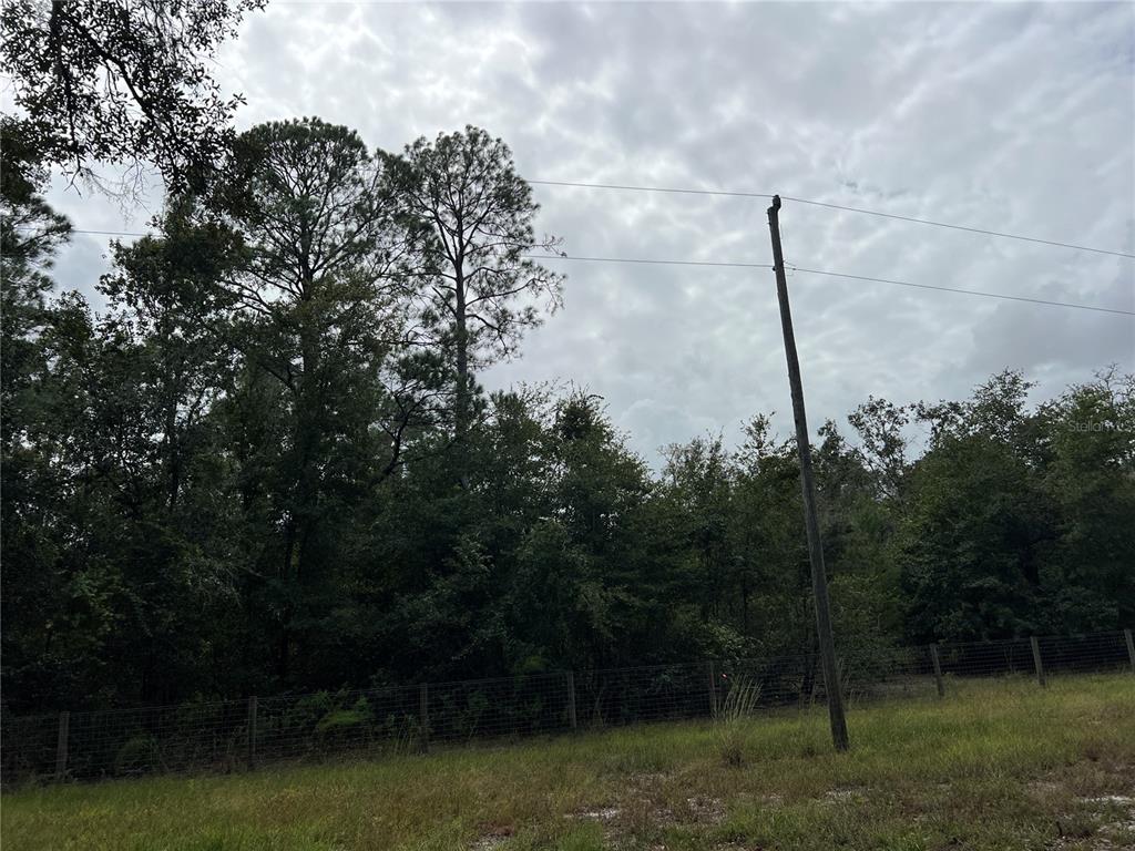 Tbd Dane Lane Melrose, FL 32666 - Photo 11 of 13