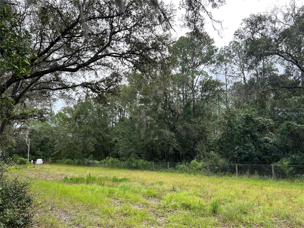 Tbd Dane Lane Melrose, FL 32666 - Photo 12 of 13