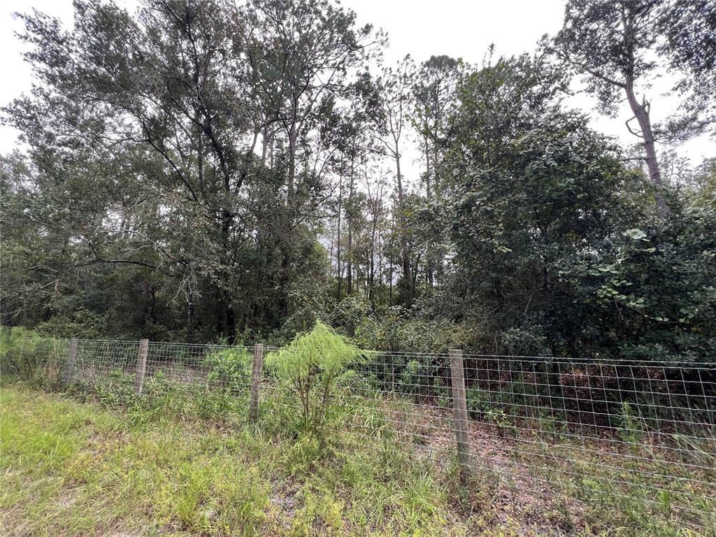 Tbd Dane Lane Melrose, FL 32666 - Photo 13 of 13