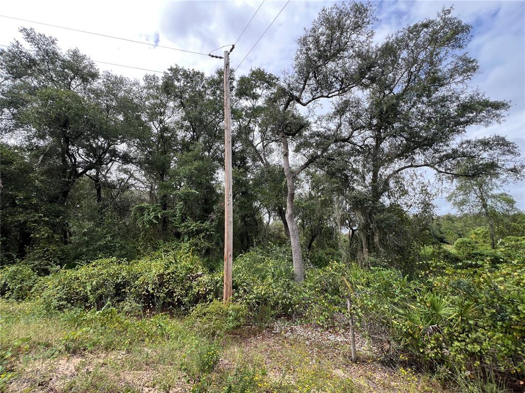 Tbd Dane Lane Melrose, FL 32666 - Photo 3 of 13