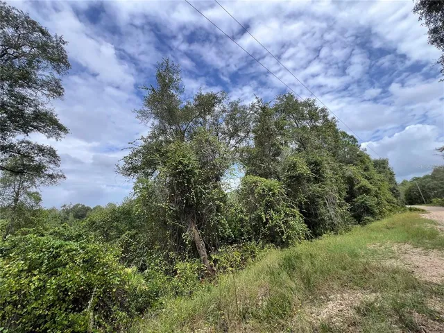 $149,900 | Tbd Dane Lane, Melrose, FL 32666