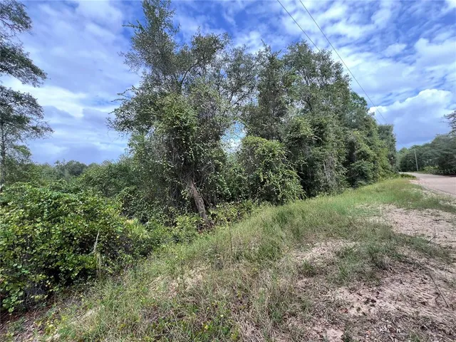 $149,900 | Tbd Dane Lane, Melrose, FL 32666