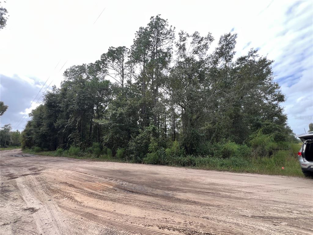 Tbd Dane Lane Melrose, FL 32666 - Photo 6 of 13