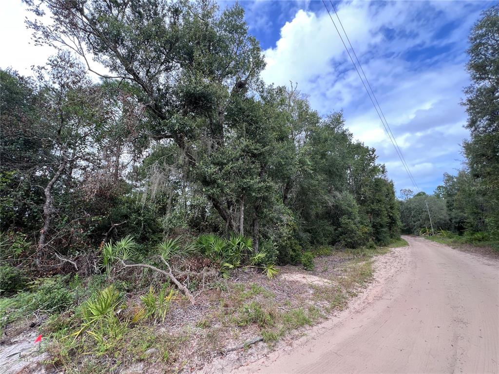 Tbd Dane Lane Melrose, FL 32666 - Photo 7 of 13
