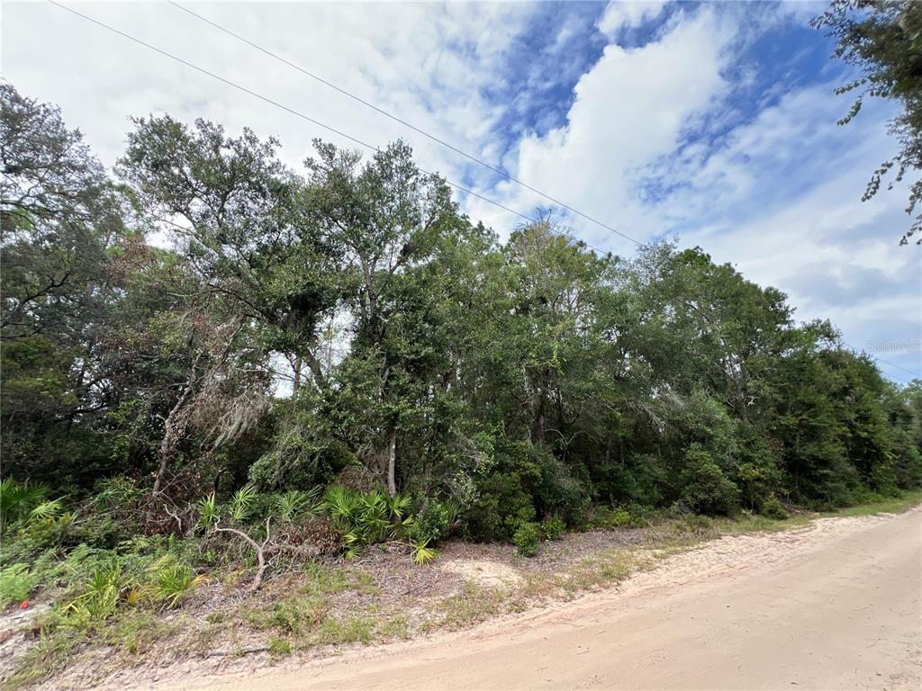 Tbd Dane Lane Melrose, FL 32666 - Photo 10 of 13